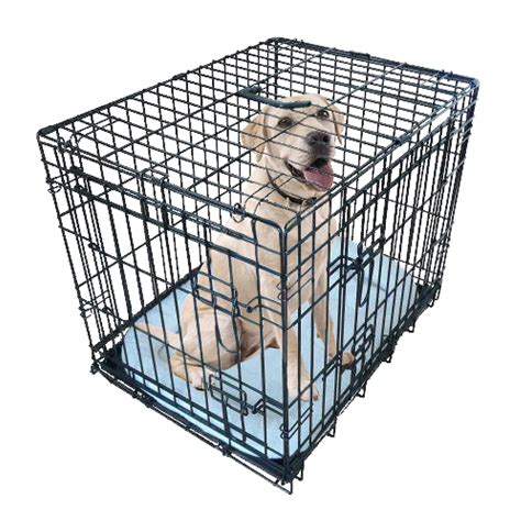  At this stage, a crate with the door removed and lined with sheepskin or a dog bed can be given to the puppies for sleeping quarters and to familiarize them with crates